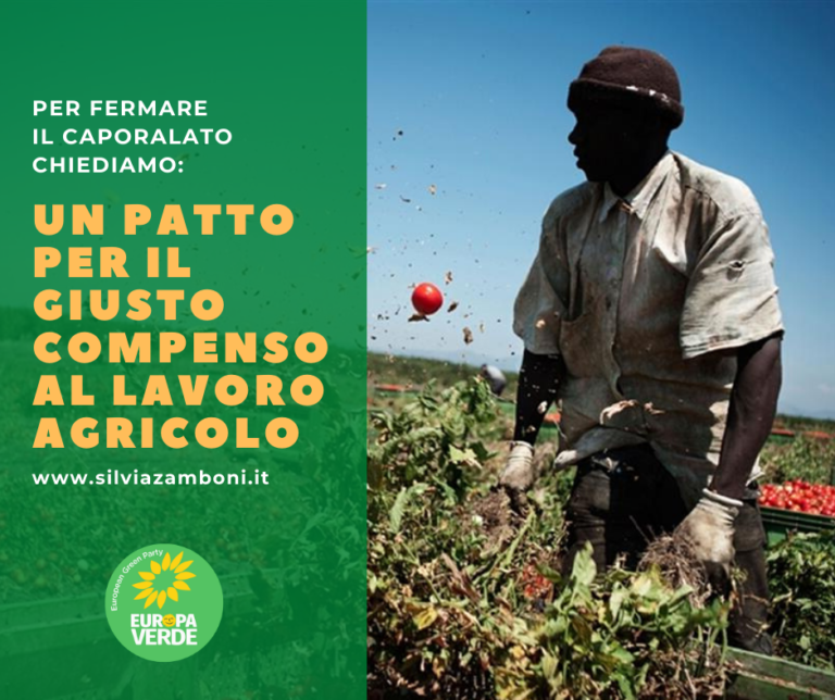 Scopri di più sull'articolo Caporalato. La Giunta dell’Emilia-Romagna promuova un Patto per il giusto compenso al lavoro agricolo coinvolgendo le forze economiche e sociali della filiera