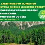 IL CAMBIAMENTO CLIMATICO METTE A RISCHIO LE NOSTRE FORESTE