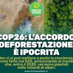 COP26. L’ACCORDO SULLA DEFORESTAZIONE È IPOCRITA