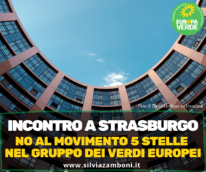 Scopri di più sull'articolo INCONTRO A STRASBURGO: NO AL MOVIMENTO 5STELLE NEL GRUPPO DEI VERDI EUROPEI