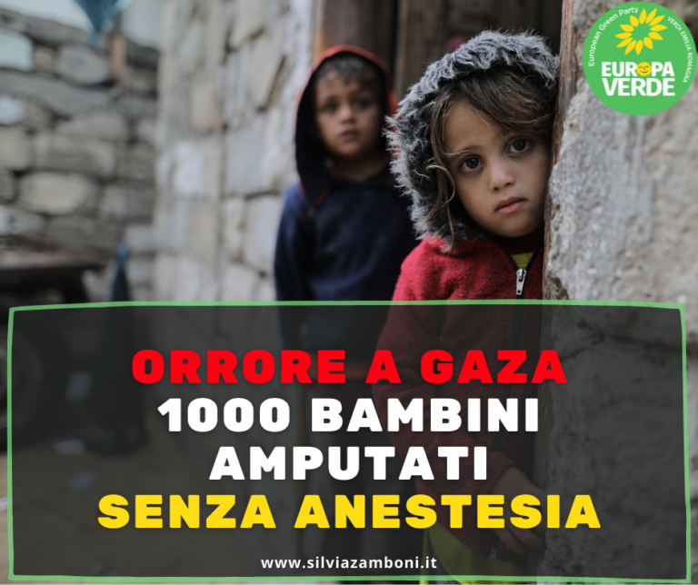 Scopri di più sull'articolo CESSATE IL FUOCO. FERMATE L’ORRORE A GAZA