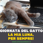 GIORNATA DEL GATTO: LA MIA LUNA, PER SEMPRE!