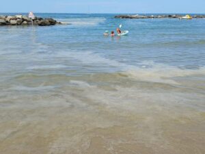 Scopri di più sull'articolo MUCILLAGINI IN ADRIATICO: A RISCHIO PESCA E TURISMO BALNEARE. SI INTERVENGA SULLE CAUSE: NON BASTA PIÙ DIRE CHE LE MUCILLAGINI NON SONO TOSSICHE