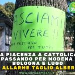 ALLARME TAGLIO ALBERI: DA PIACENZA A CATTOLICA PASSANDO PER MODENA BOLOGNA E LUGO