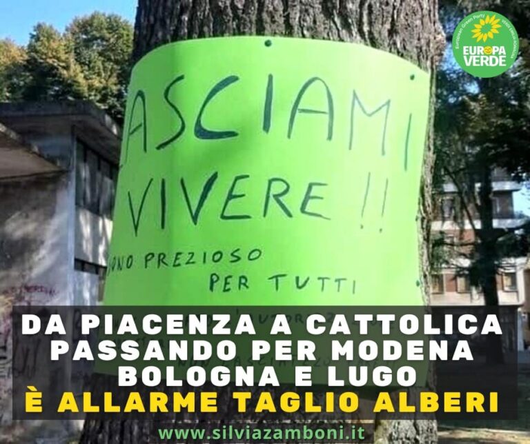 Scopri di più sull'articolo ALLARME TAGLIO ALBERI: DA PIACENZA A CATTOLICA PASSANDO PER MODENA BOLOGNA E LUGO