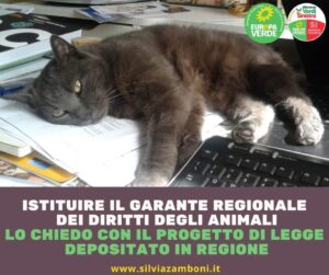 Scopri di più sull'articolo Mio Progetto di legge per l’istituzione del “Garante regionale per il benessere e la tutela dei diritti degli animali”