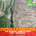 DEPOSITATA INTERROGAZIONE CON CUI CHIEDO DI FARE CHIAREZZA SUGLI ALBERI ABBATTUTI SUL SECCHIA