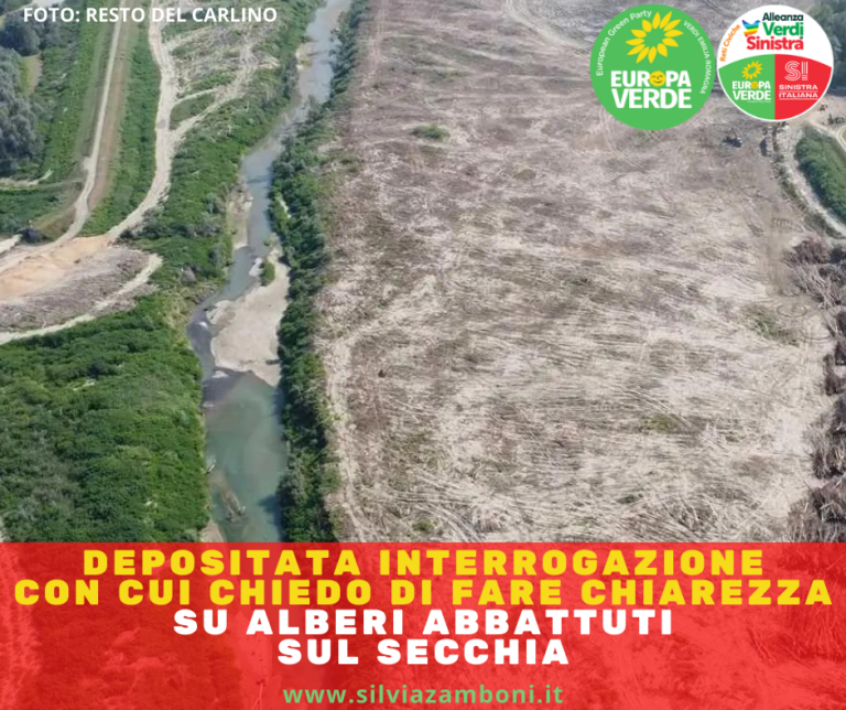 Scopri di più sull'articolo DEPOSITATA INTERROGAZIONE CON CUI CHIEDO DI FARE CHIAREZZA SUGLI ALBERI ABBATTUTI SUL SECCHIA