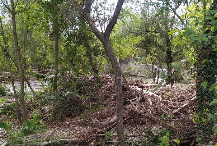 Al momento stai visualizzando PROGETTO DI INTERVENTO SULLA VEGETAZIONE RIPARIALE DEI TORRENTI CROSTOLO E RODANO: DOPO LA PETIZIONE DEGLI AMBIENTALISTI, MIA INTERROGAZIONE PER SOLLECITARE LA GIUNTA A EFFETTUARE VERIFICHE