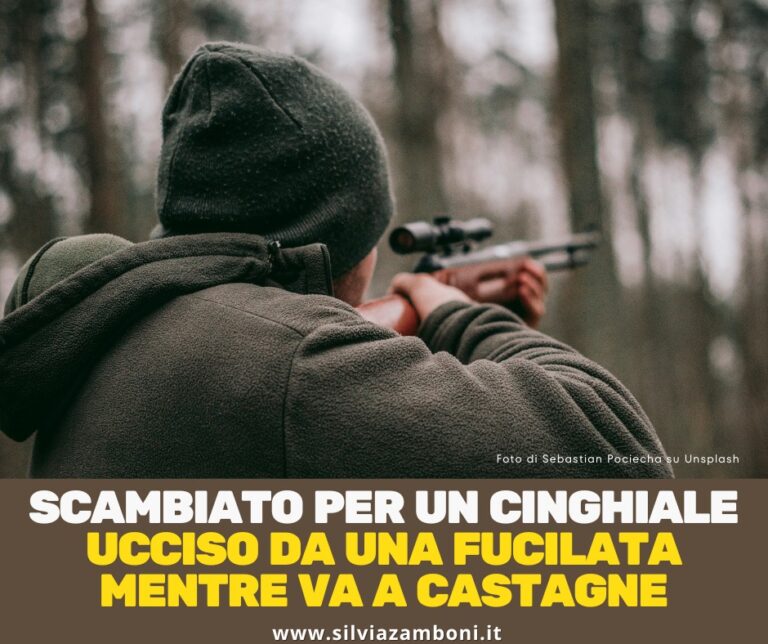 Scopri di più sull'articolo SCAMBIATO PER UN CINGHIALE: UCCISO DURANTE BATTUTA DI CACCIA!