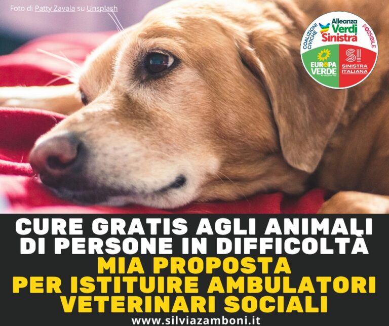 Scopri di più sull'articolo AMBULATORI VETERINARI SOCIALI: LA MIA PROPOSTA PER PERMETTERE ALLE PERSONE IN DIFFICOLTÀ DI CURARE GRATIS GLI ANIMALI